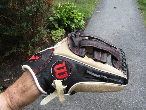 Guanto baseball wilson 2024 - guanto,